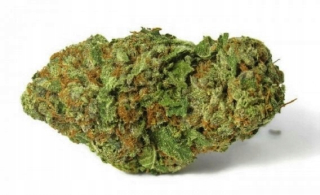 CBD - Konope sucho 12% CBD 2G Strawberry Haze Flowers CBD