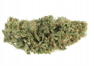 CBD - Konope sucho 12% CBD Flowers 5G Super Silver Haze