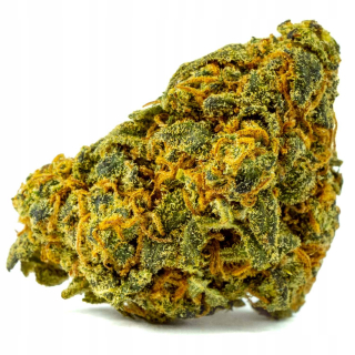 CBD - Konope vysuší amnézia oparu 39% CBD 5g