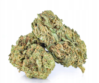 CBD - Konope Sun CBD 25% Amnesia Haze Premium 10 g