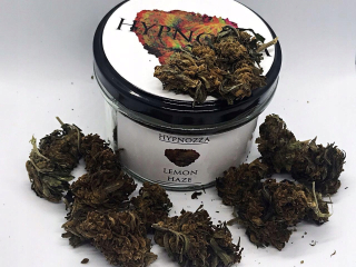 CBD - CBD konopné sucho 6,5% Hypnozza LEMON HAZE 5g