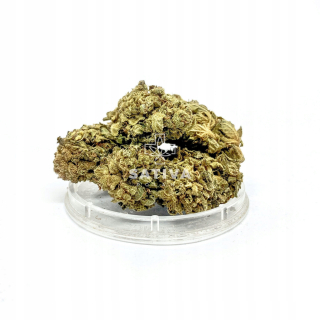 CBD - Konope Santa CBD AK-47 SATIVA POĽSKO 2G 4,3%