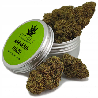 CBD - Susw konope CBD Amnesia Haze 2g kvety Cannabis