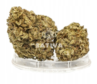 CBD - SILE CBD BLACKBERRY sativa POĽSKO 2G 4,2%