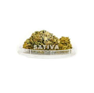 CBD - Konope sucho CBD žuvačka Sativa Poľsko 2 g 5,4%