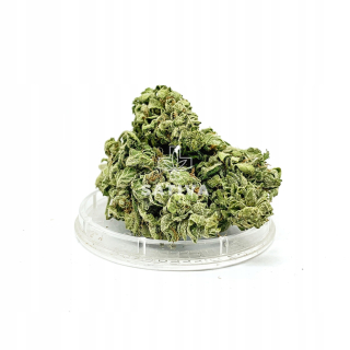 CBD - SILE CBD CBGold Sativa Poľsko 2 g 6,6%