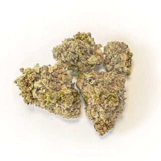 CBD - CBD konopné sucho Vytvrdzovanie Bud Sativa Poľsko 1g