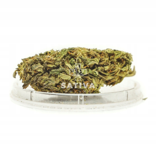CBD - Hannepy CBD Diesel Skunk Sativapoland 2 g 4,7%