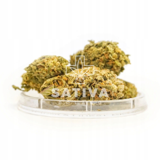 CBD - CBD konopné sucho Harlekýn Sativa Poľsko 2g 4,7%