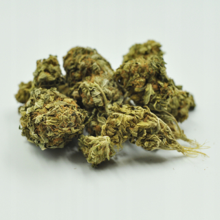 CBD - Konopný Sun CBD citrón 100g veľkoobchodné až 6%