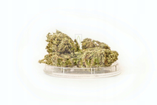 CBD - Konope sucho CBD Lemon 2G Natural Certified