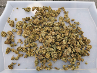 CBD - Konopný Sun CBD Purple Haze 100g Veľkoobchod až o 14%