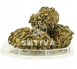 CBD - Konope sucho CBD Strawberry Haze Sativa Poľsko 2g
