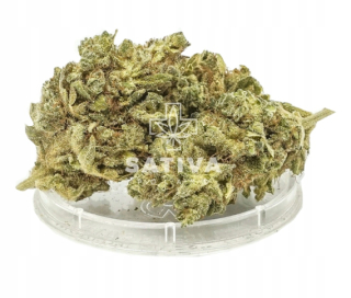 CBD - Hannepy CBD Super Lemon Haze Sativa Poľsko 1g