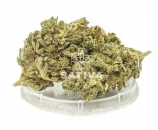 CBD - Hannepy CBD Super Lemon Haze Sativa Poľsko 2g