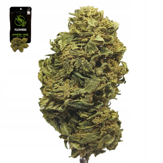 CBD - Susw konope CBD vonzzy 5g amnézia hmla kvety top