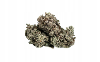 CBD - Hemp sucho | CBG 12% 100g | CBD | konope Promotion