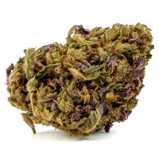 CBD - Sucho Konope Purple Haze CBD 20g