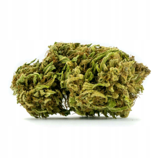 CBD - Spooky konope Venom CBD 10g