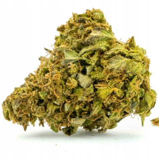 CBD - Konope Slniečka Venom CBD Premium 2G