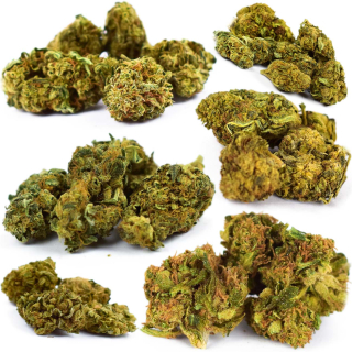 CBD - Konope Sun Mix 8 odrody 8 až 43% CBD