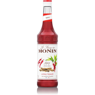 Ochutnať sirup monin korenistý - pikantný 700 ml
