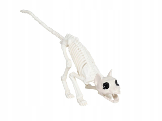 Halloween - Plastický kostrový plast 151 48 cm