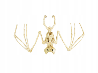 Halloween - Závesný kostra plastový arpex 30 cm