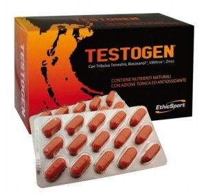 Testosterón - Testogen - Prírodný stimulátor testosterónu