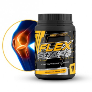 Ochrana kĺbov -  TREC FLEX GUARD 375 g regenerácia kĺbov 15 g denne