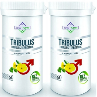Testosterón - Tribulus Extrakt 600mg Mega Set 2x 60 kapsúl
