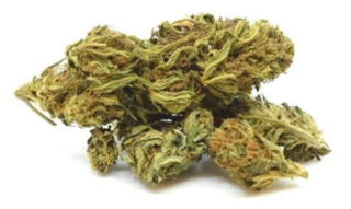 CBD - Terapia 14% CBD 10g Druso Hemp Silver
