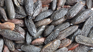 TONKA BEAN - 200G