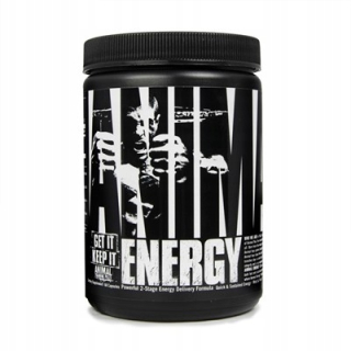 Universal Animal Energy 60 KAP przetRenealearment