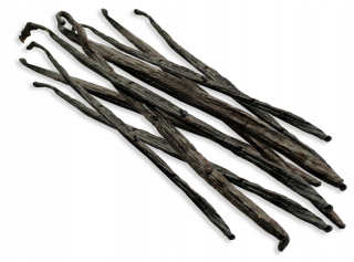 Vanilka Babe 15-18 cm Madagaskar, čerstvé 100 ks