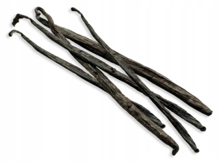 Vanilla Babe 15-18 cm Madagaskar, Čerstvé 5 ks