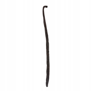 Wanilla Bourbon v Babes 14-16 cm 20 kusov