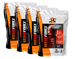 Sacharidy Energia Carbo 4kg Vitargo R2G