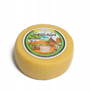 Taliansky pecorino syr stručne dozrievanie 500g