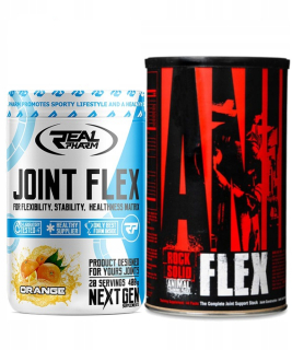 Ochrana kĺbov -  Zvieratý Flex 44 SASZ + RP spojovací flex 400g