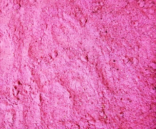 Branberry Powder 1 500g LIO Ovocie