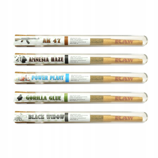 CBD - Súprava COPNY SUSH CBD HEMP 5X1G CLASSIC