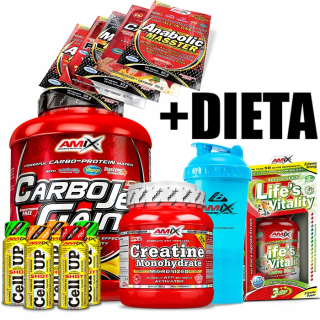 Gainer - Nastavená pre úplnú hmotnosť AMIX - (po dobu 50 dní) + 6KG