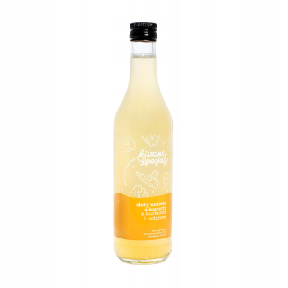 Gold Sourdough z kapusty 500ml 9 + 1 nakladaných špecialít