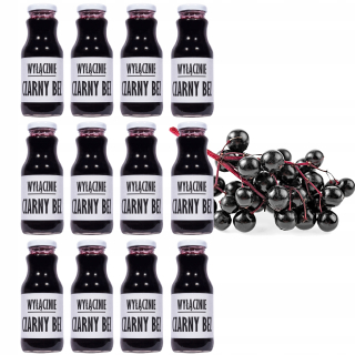 Čierna bez 100% šťavy z Lilac NFC bez cukru 12x250ml