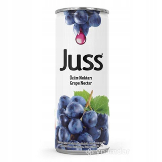 Habibi Juss Fruit Nectar Grape 330ml 12ks.