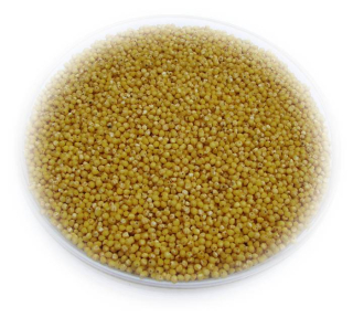 Millet 25 kg