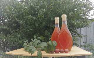 PLUM OCEGAR 2015 100% Ovocie EKO 2x250ml