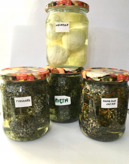 Ryseľný syr Shanhlish 6 Balls Mix Futerive