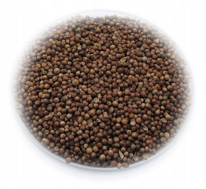 Semená Coriander 5 kg
